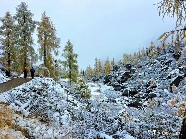 甲依拉措 ：一场白雪与彩林的盛宴
