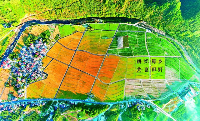 临安向世界发出绿色邀约：天目山“人与自然和谐共生”成果发布