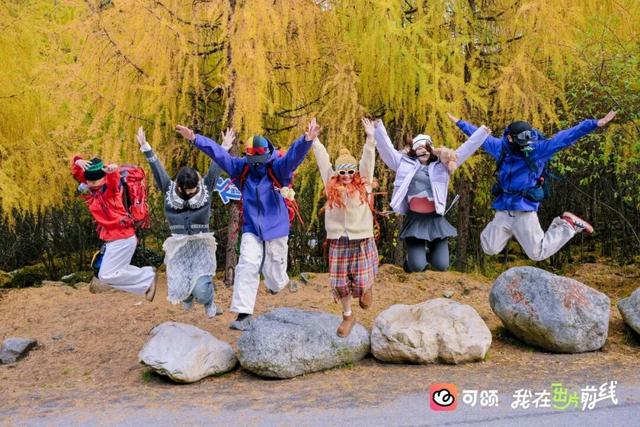 打卡彩林“天花板”！毕棚沟x可颂采风活动圆满结束！