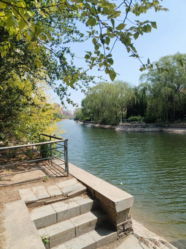 天津《复兴河公园》