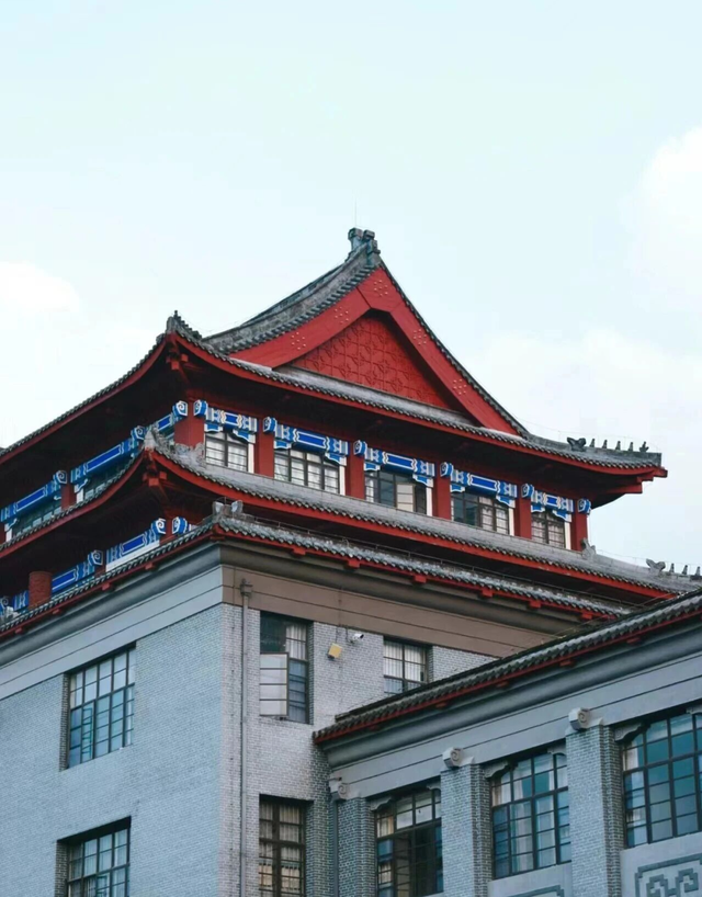 地铁直达！免费！成都20个绝美赏秋地，银杏水杉梧桐红枫限时上演！就在家门口！