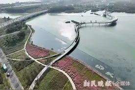 一体化交通网络、异地就医门诊直接结算……来看长三角一体化去年成绩单图片