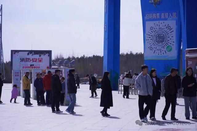 3月8日，鄂尔多斯送给所有女生的情书：免门票，请你来看白鲸！