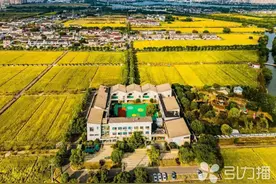 金秋好“丰”景！苏州这里的5000亩水稻开镰图片