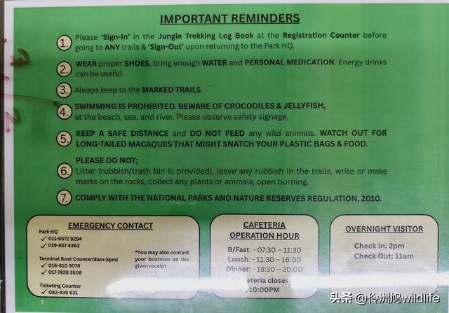 马来西亚(35)砂拉越州⑨峇哥国家公园徒步线路