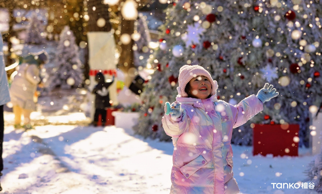 冬蕴万象|门头沟区冰雪季邀您共赴一场山野间的冬日奇遇