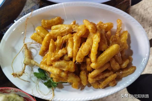 这三座新开高铁城市的打卡攻略来啦！