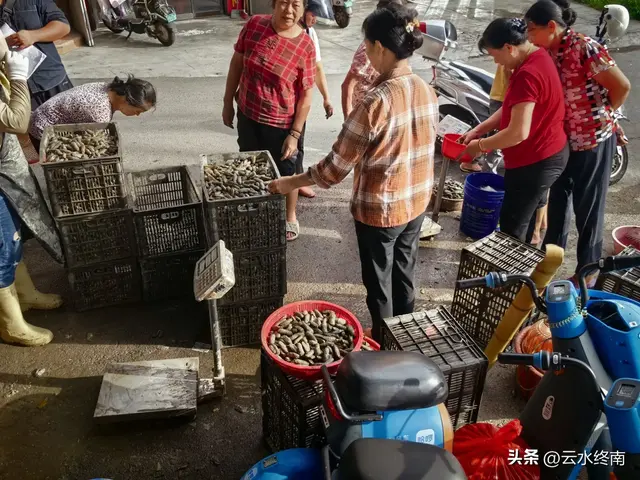 茅以升说它是桥中的状元，有“三大黑科技”，是四大古桥却不知名