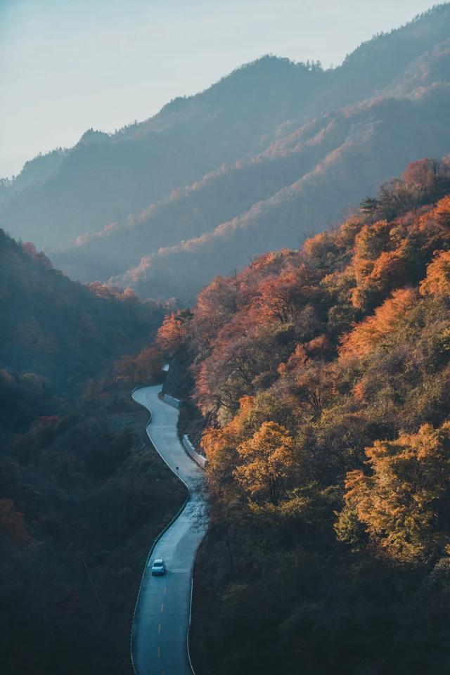 山野拾童趣!带娃来汉中这里,共享秋日亲子好时光~