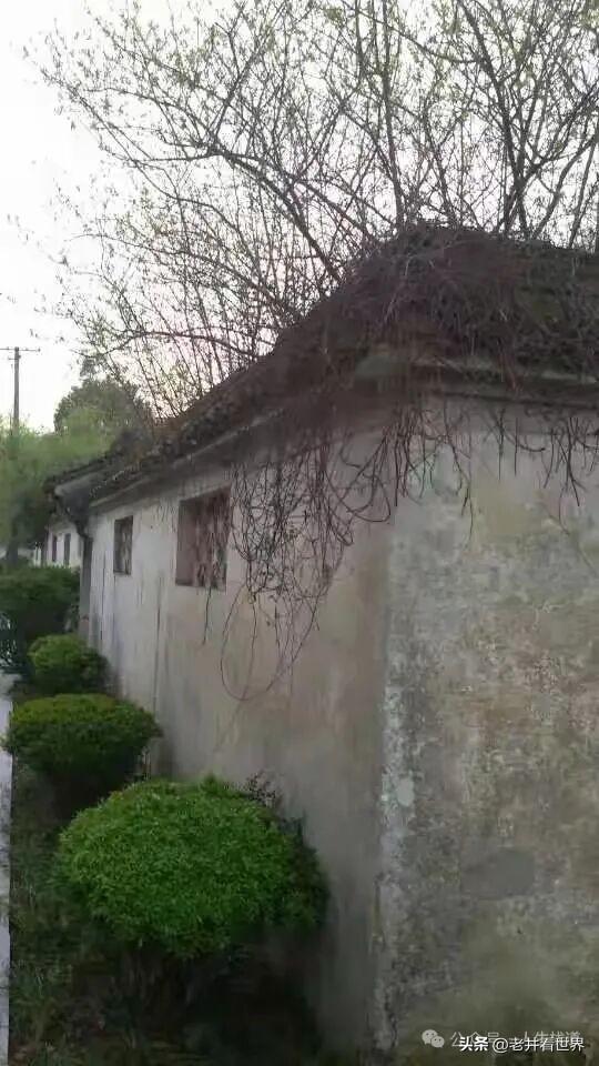 走过春晖旧舍 ‖ 胡成江