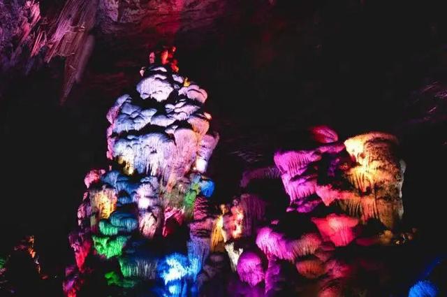 秋日必冲！千年银杏+层林秋景，还有《智取华山》取景地