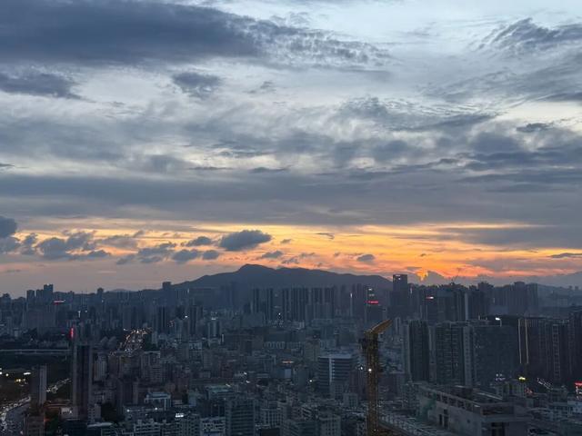 8月，「渴望自由，像治不好的病」（上）