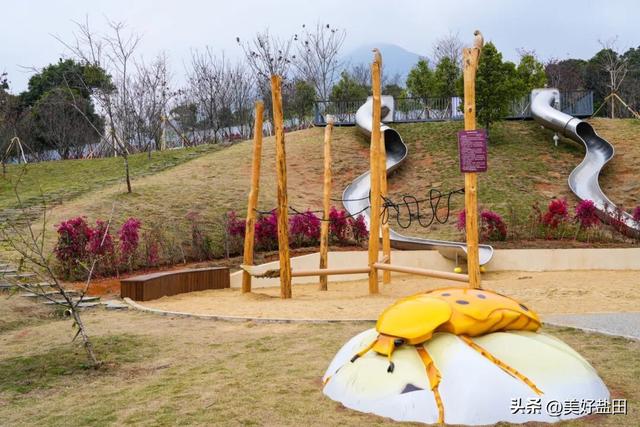 二刷、三刷……遛娃党解锁恩上湿地新玩法！