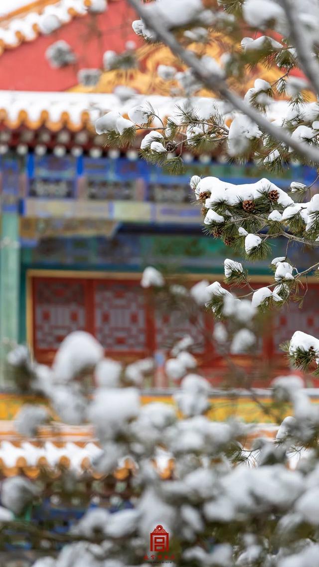 故宫四季美景一览，震撼高清美图预警！