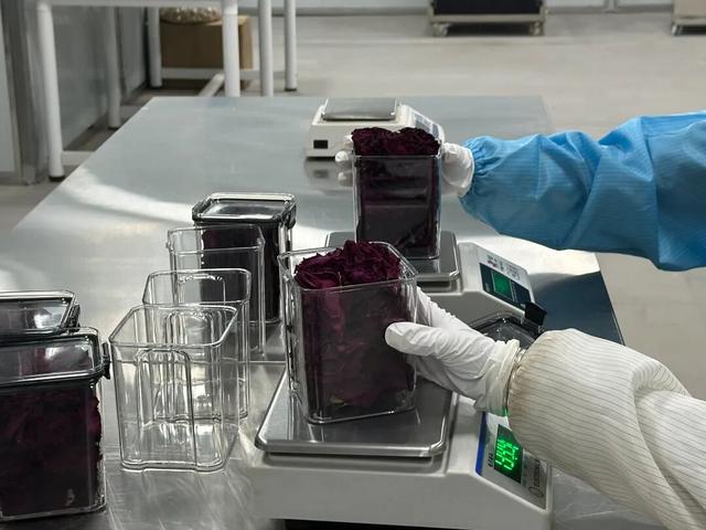 程凤麟：把大理的花香打包给全世界