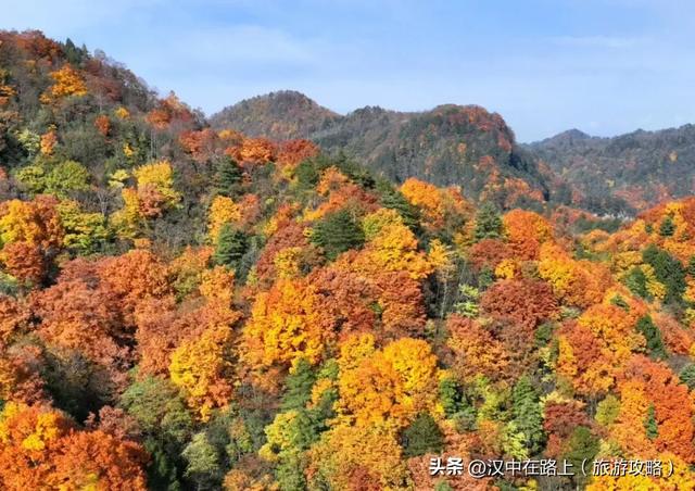 免票！半价！汉中这处红叶​绝佳观赏期已至，周末快冲！