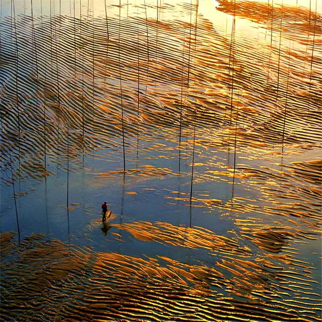 这是油画还是实景？太美太美啦！！