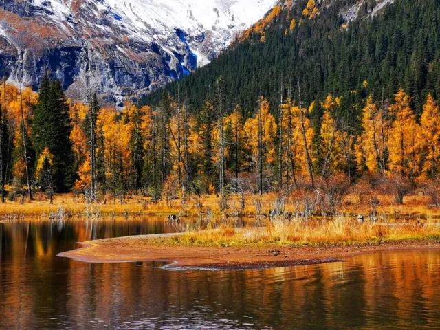 中国彩林第一县！黑水的美镜头不足以描绘！