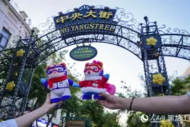 “行进中国”调研行·活力黑龙江丨“滨滨”“妮妮”带你纵览冰城美景图片