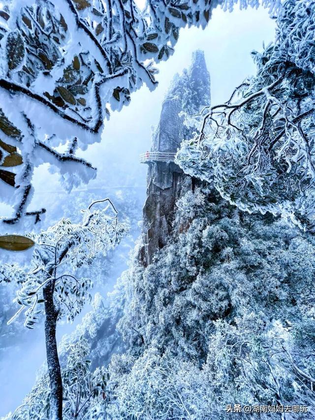 2H直达长沙周边的“长白雪山”！带娃登高赏雾凇超欢乐