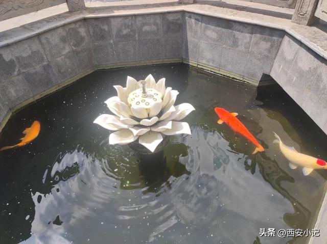 西安最值得一去的寺庙，不花钱却上香祈福全有，康熙乾隆亲笔题字