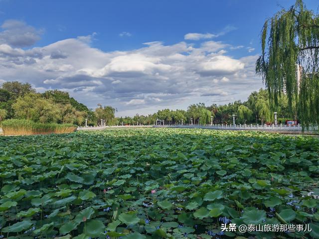 泰山脚下一座无废城市公园，东临“泰安曼哈顿”，斥资4700万打造
