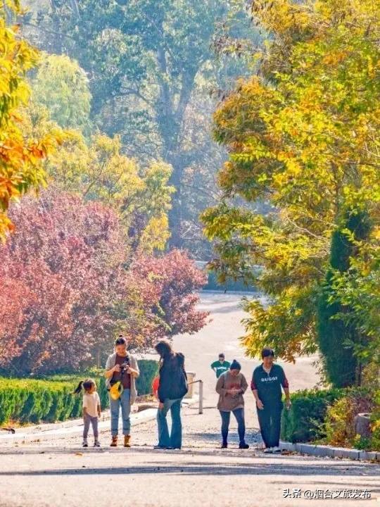 【乐游烟台】免费门票送送送！烟台私藏温泉泡汤地曝光