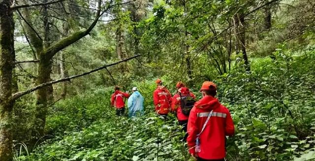 大理失踪男孩确认死亡！定位器比孩子先丢，生前最后露面照藏猫腻