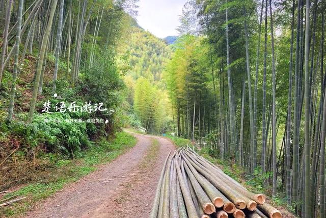 宁波奉化由九龙传说得名的山村，既如世外桃源又如绿野仙踪，真美