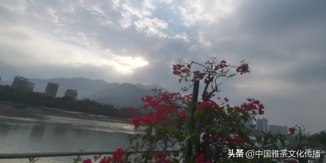 旅途美文：漫步米易