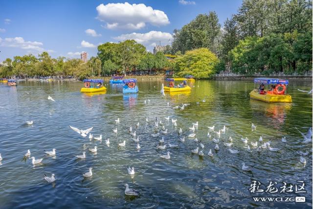 旅居云南·昆明好在（二十八）避寒游邂逅春城美