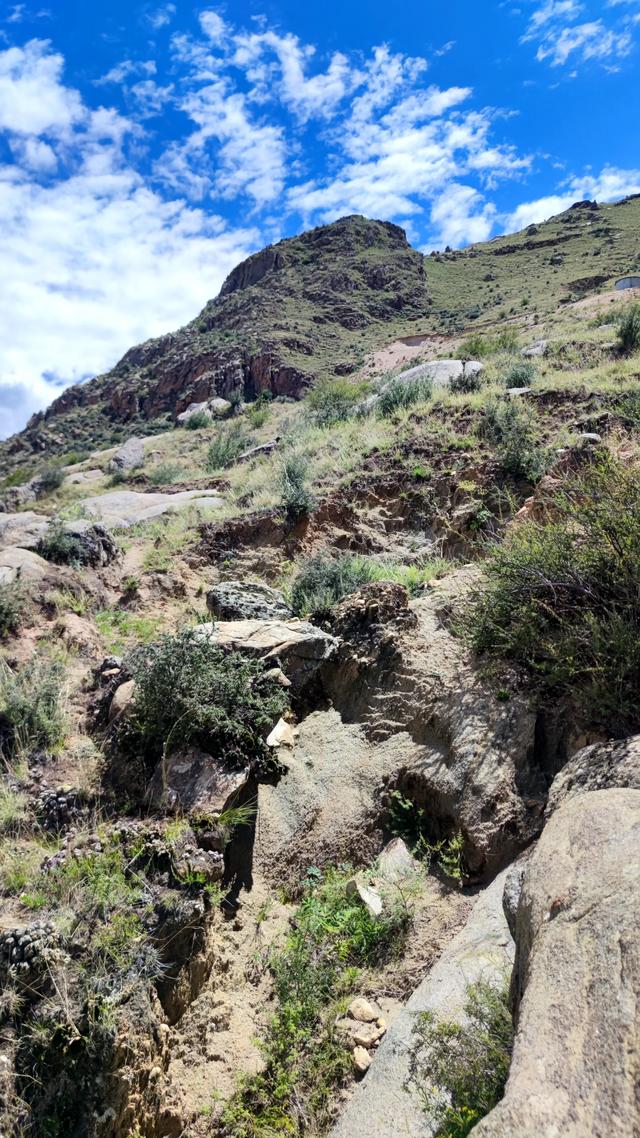 两登拉萨色拉寺后山，上升600米，山顶海拔4200米，经幡飘扬