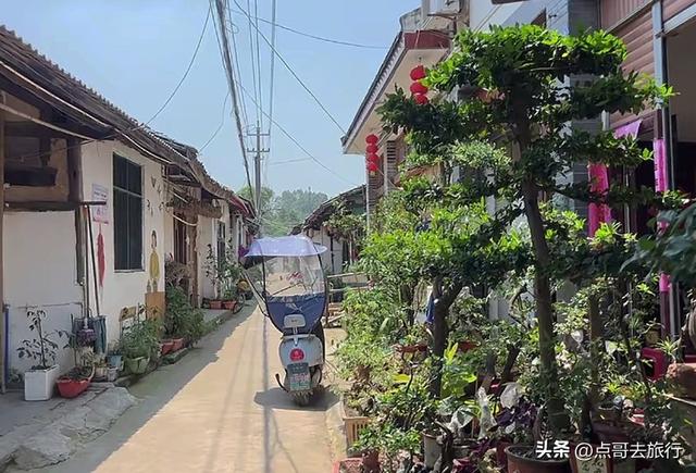 成都新津最容易错过的古场，被严重低估，美味诱人，公共交通直达