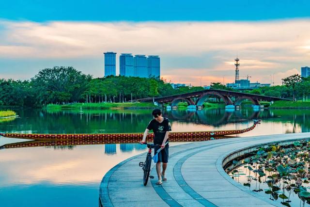 逛完你的逛你的，桂城公园真的逛不完！免费畅玩→