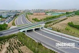 一条“彩虹”贯东西 舜帝街东延改扩建道路工程建设走笔图片
