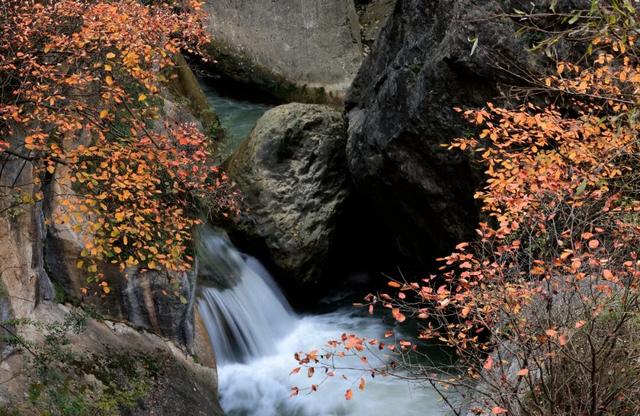 这才是秋天该有的样子~