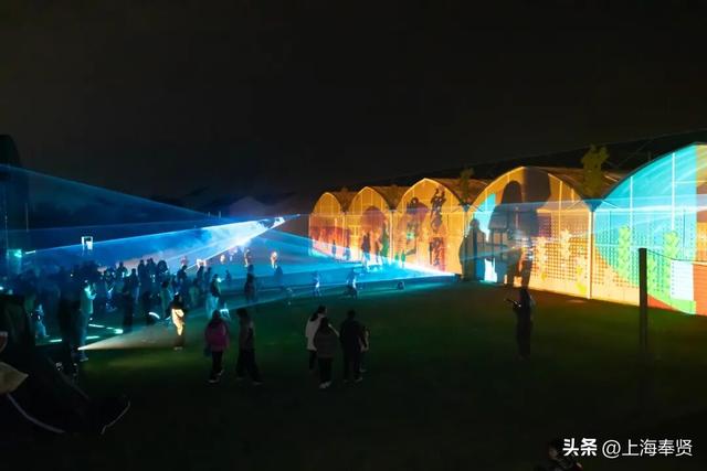 “乡”遇奉贤·南桥镇篇丨一站式乐园解锁新玩法，快来探秘当代“桃花源”吧！
