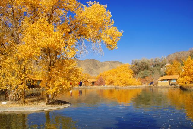 酒泉多坝沟胡杨峡，山势奇特，景色如画，隐藏着大西北的极致秋色