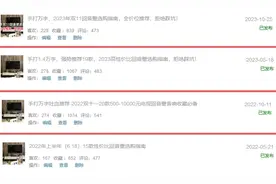 2024年618回音壁避坑指南，这二十几款热门回音壁请谨慎选择图片