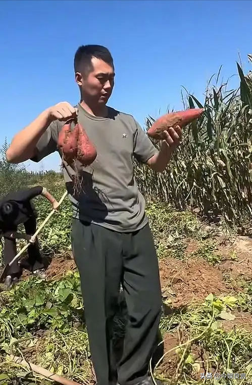 最帅升旗手张自轩大婚不到24小时，荒唐一幕出现	，新娘受无妄之灾