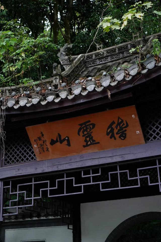 黄山治愈系打卡！20 分钟公园漫游，和“班味”说拜拜 | 皖美冬日 | 第十五届安徽国际文化旅游节