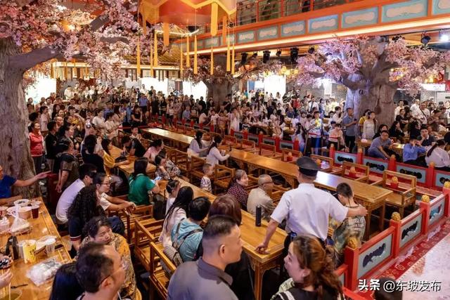 东坡文旅 持续上分中