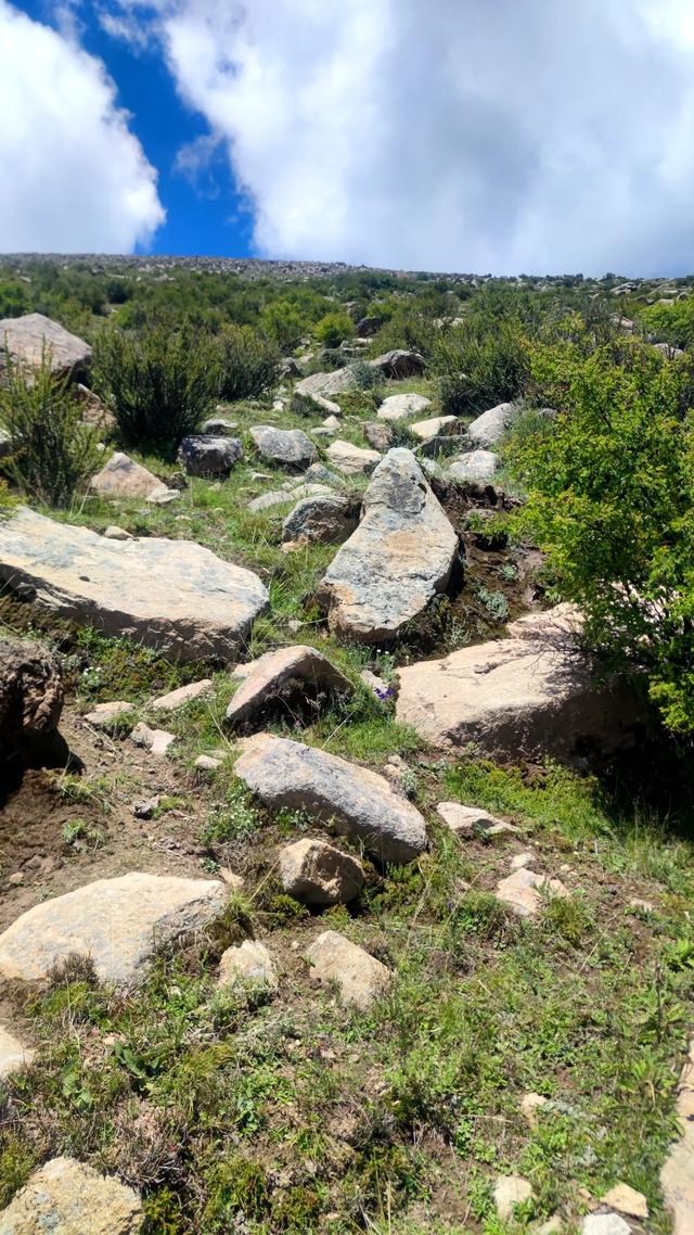 爬拉萨哲蚌寺后山，从海拔3600米到山顶5300米，上下20公里