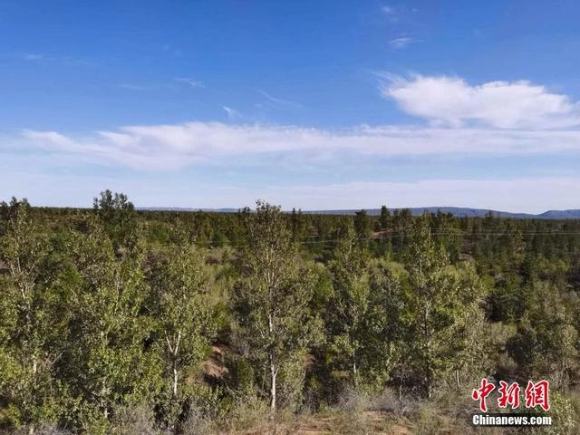 人这一辈子，一定要去一趟榆林！