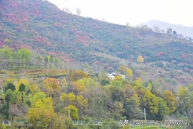 汉中出发沿嘉陵江跨省自驾，把秦巴深秋的美景装进车窗～图片