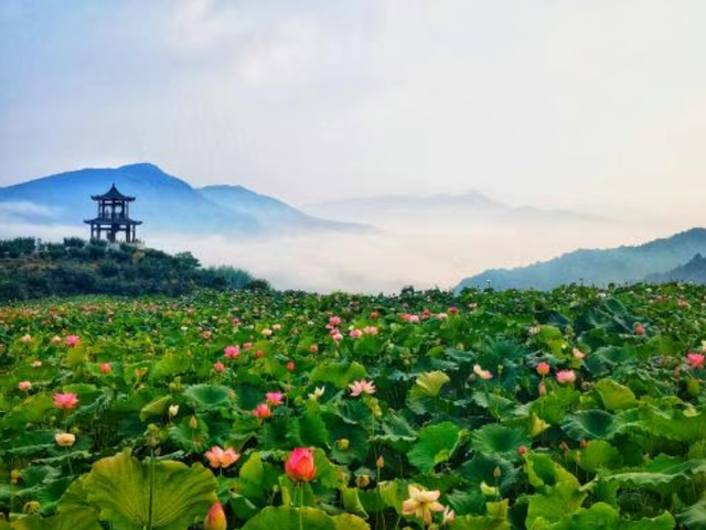 福建：夏日“福”地·邂逅山海