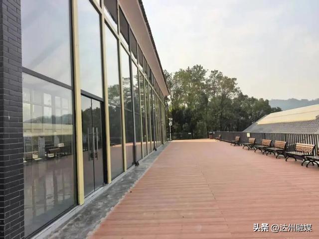 好一片“绿茶”！被达州大竹这片万亩茶海治愈了