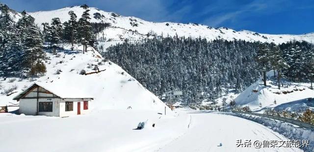 宁海：藏于宁波的宝藏小城，承包江南冬日的所有浪漫