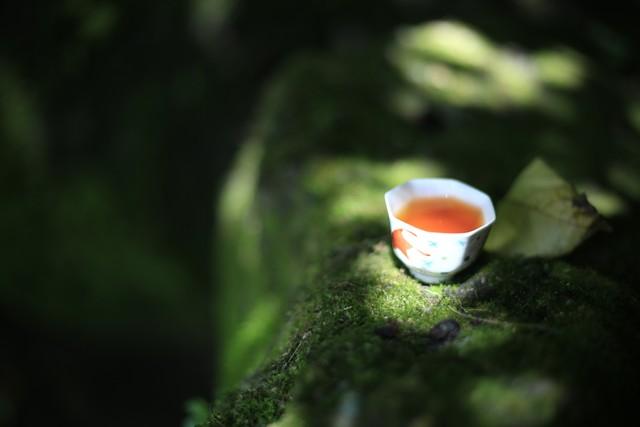喝茶不能问这几个问题，尤其是最后一个，一问就会被茶商拿捏