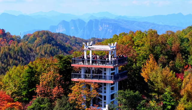 四川旺苍县红叶成秋日爆款 全国游客争相打卡